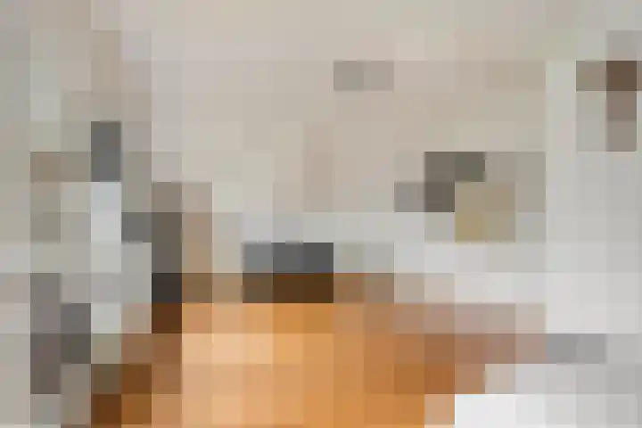 Westeinde 343 Berkhout thumbnail 31