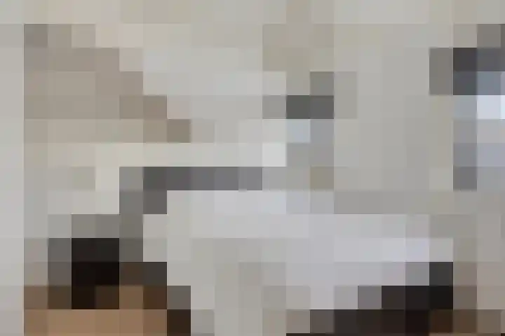 Westeinde 343 Berkhout thumbnail 32