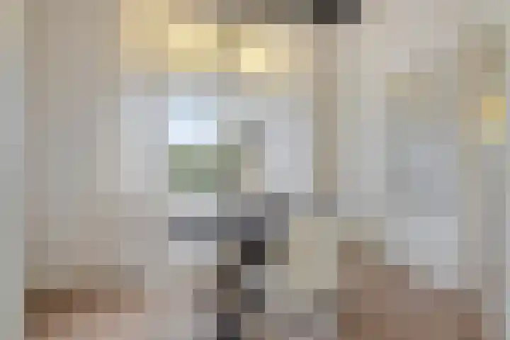 Westeinde 343 Berkhout thumbnail 35