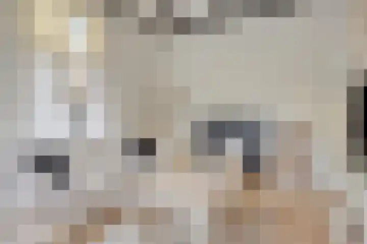 Westeinde 343 Berkhout thumbnail 38