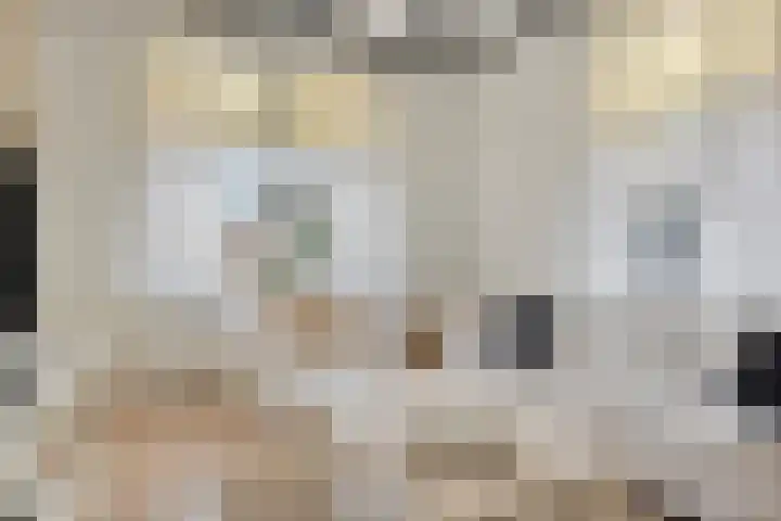 Westeinde 343 Berkhout thumbnail 39