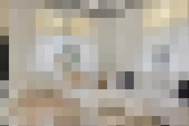 Westeinde 343 Berkhout thumbnail 4