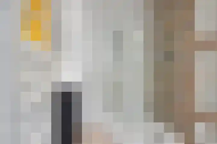 Westeinde 343 Berkhout thumbnail 40