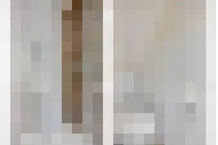 Westeinde 343 Berkhout thumbnail 41