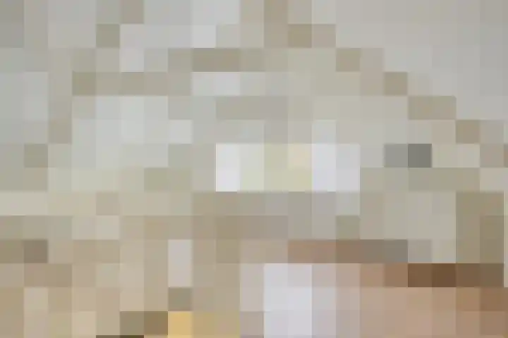 Westeinde 343 Berkhout thumbnail 42