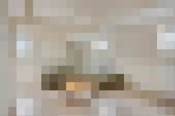 Westeinde 343 Berkhout thumbnail 46