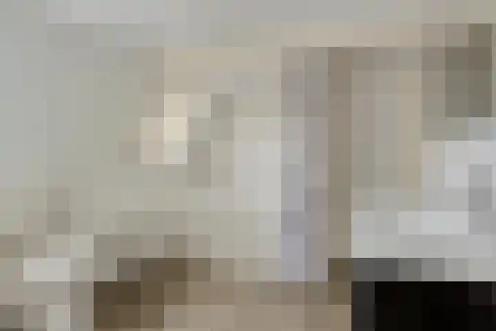 Westeinde 343 Berkhout thumbnail 53