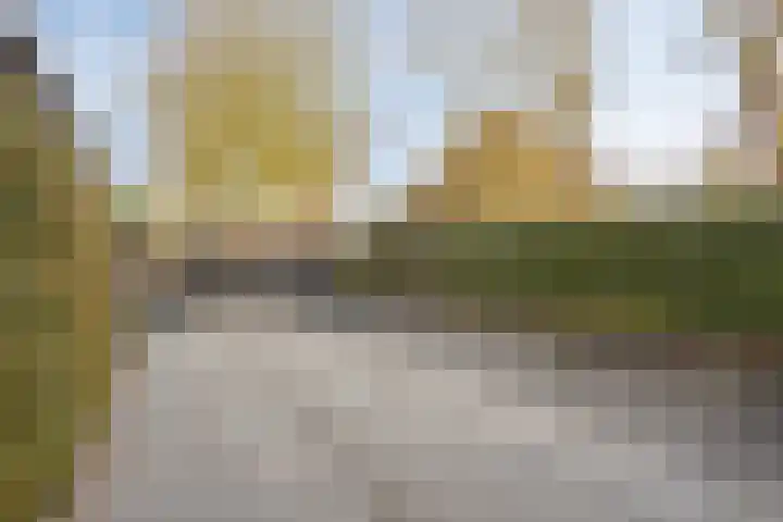 Westeinde 343 Berkhout thumbnail 55