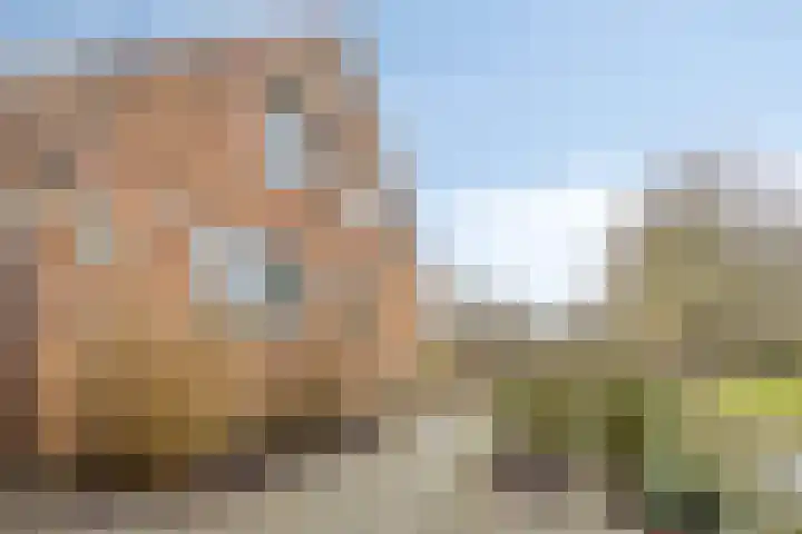 Westeinde 343 Berkhout thumbnail 57