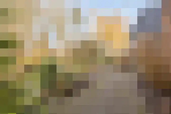 Westeinde 343 Berkhout thumbnail 58