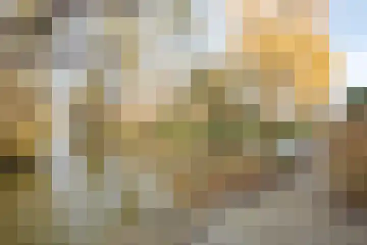 Westeinde 343 Berkhout thumbnail 59