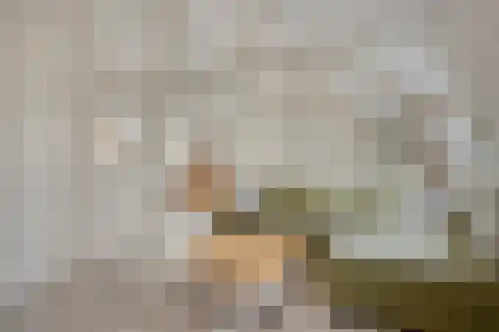 Westeinde 343 Berkhout thumbnail 6