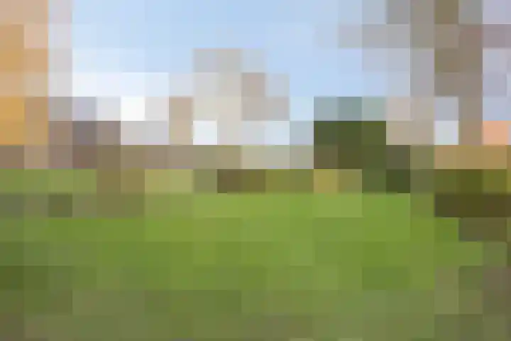 Westeinde 343 Berkhout thumbnail 61