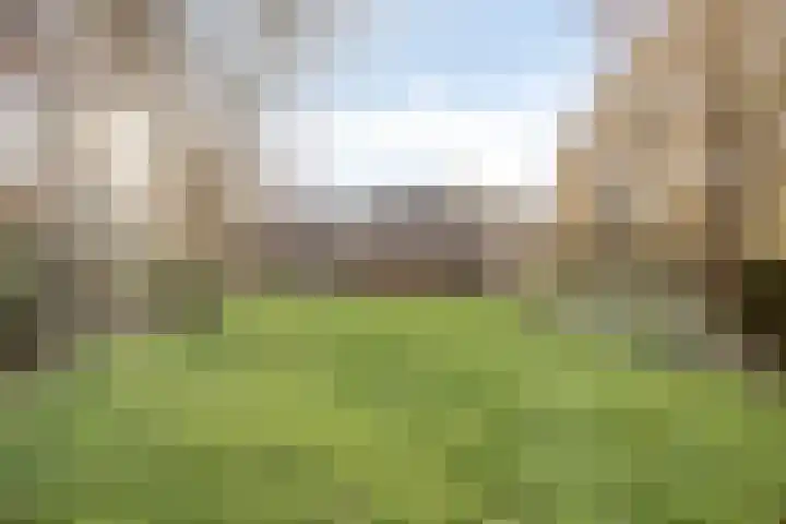 Westeinde 343 Berkhout thumbnail 62