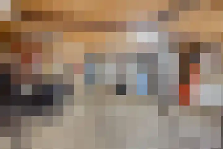 Westeinde 343 Berkhout thumbnail 63