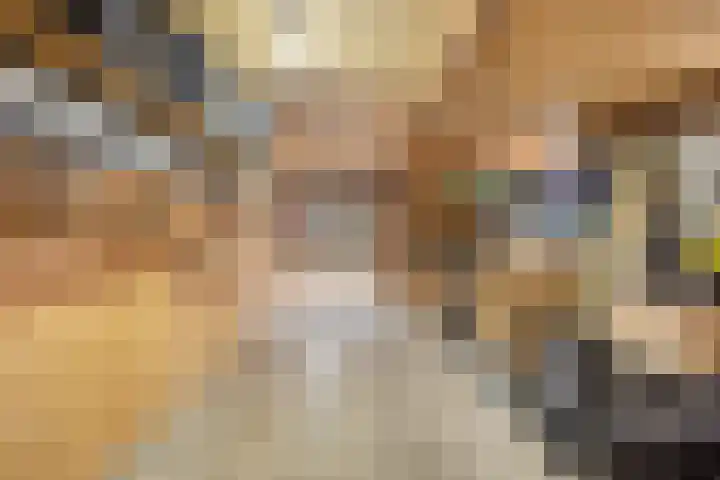 Westeinde 343 Berkhout thumbnail 64