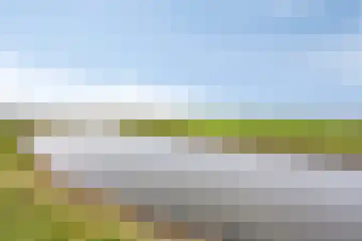 Westeinde 343 Berkhout thumbnail 71