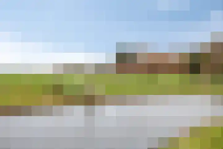 Westeinde 343 Berkhout thumbnail 72