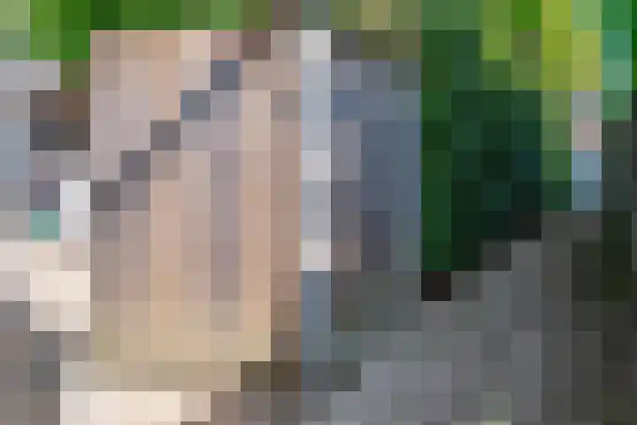 Westeinde 44 Zevenaar thumbnail 37