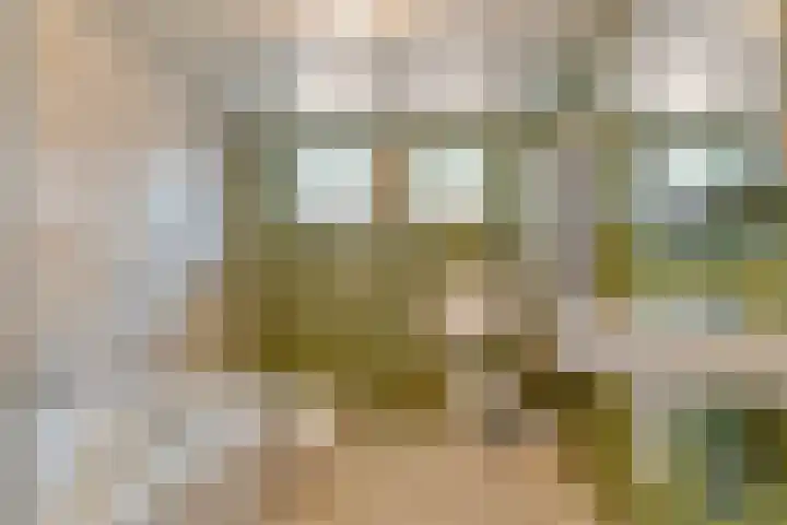 Westeinde 444 Vriezenveen thumbnail 23