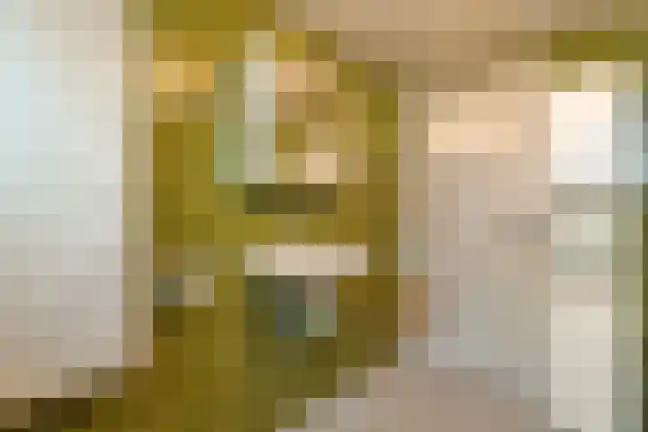 Westeinde 444 Vriezenveen thumbnail 25