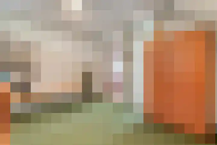 Westeinde 444 Vriezenveen thumbnail 31