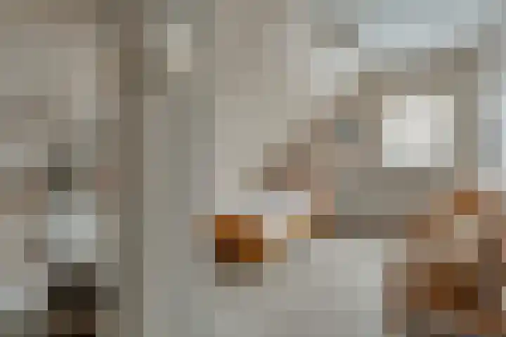 Westeinde 444 Vriezenveen thumbnail 34