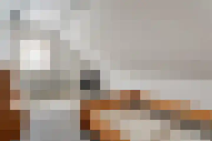 Westeinde 444 Vriezenveen thumbnail 36