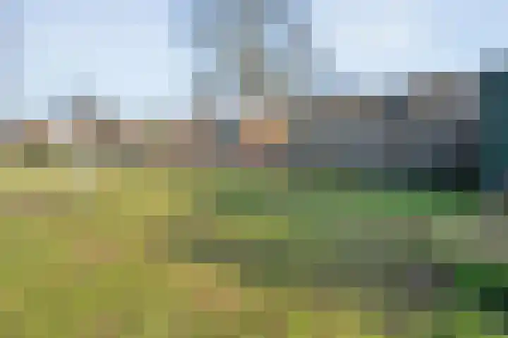 Westeinde 444 Vriezenveen thumbnail 41