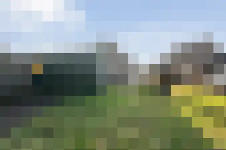 Westeinde 444 Vriezenveen thumbnail 42