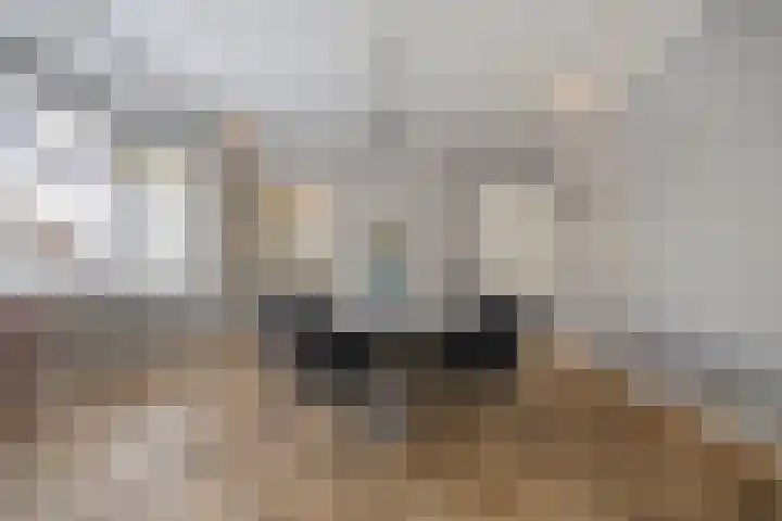 Westeinde 469 Vriezenveen thumbnail 10