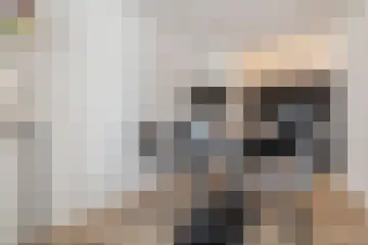 Westeinde 469 Vriezenveen thumbnail 15