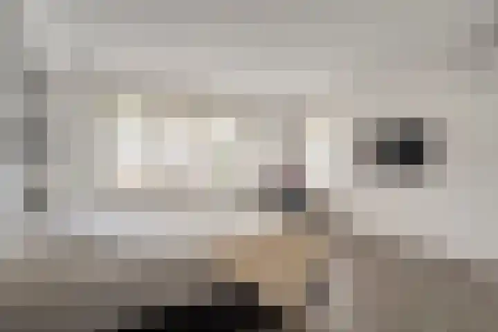Westeinde 469 Vriezenveen thumbnail 19