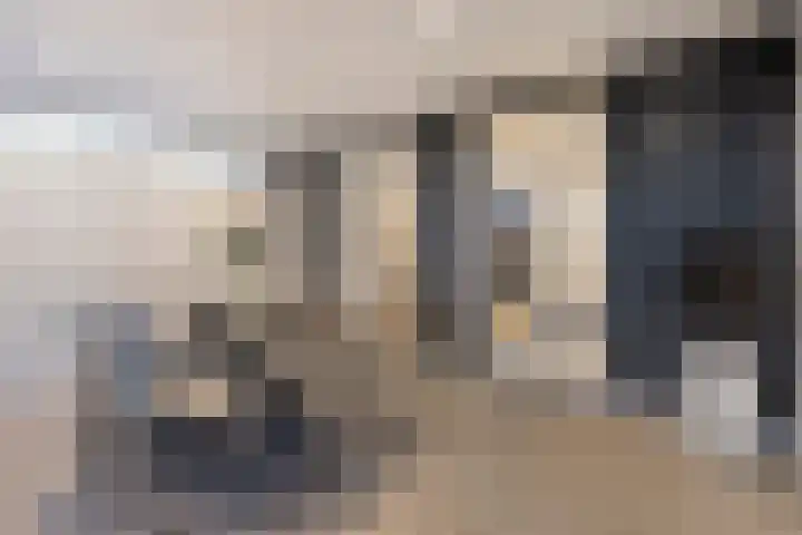 Westeinde 469 Vriezenveen thumbnail 33