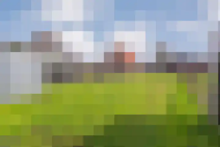 Westeinde 469 Vriezenveen thumbnail 38