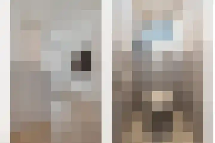 Westeinde 469 Vriezenveen thumbnail 4