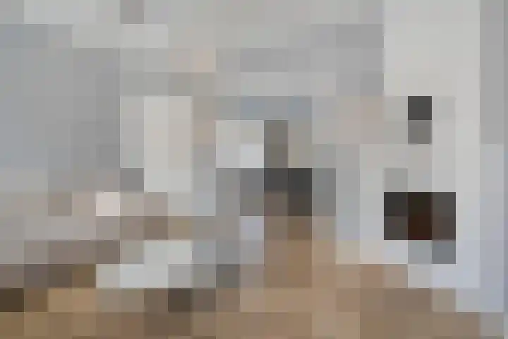 Westeinde 469 Vriezenveen thumbnail 6