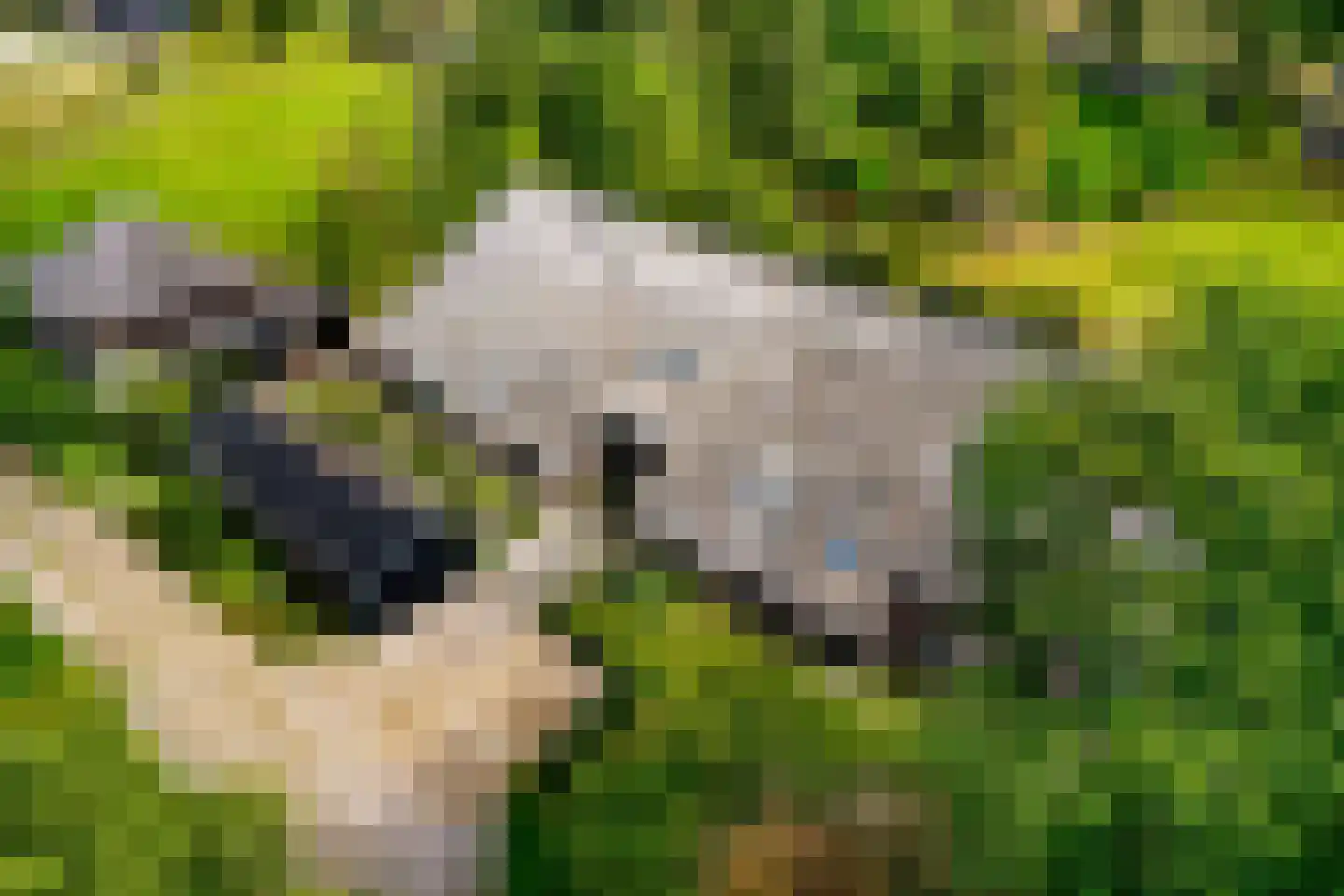 Westeinde 51 Dwingeloo thumbnail 10