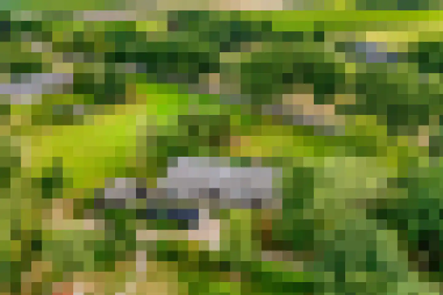 Westeinde 51 Dwingeloo thumbnail 12