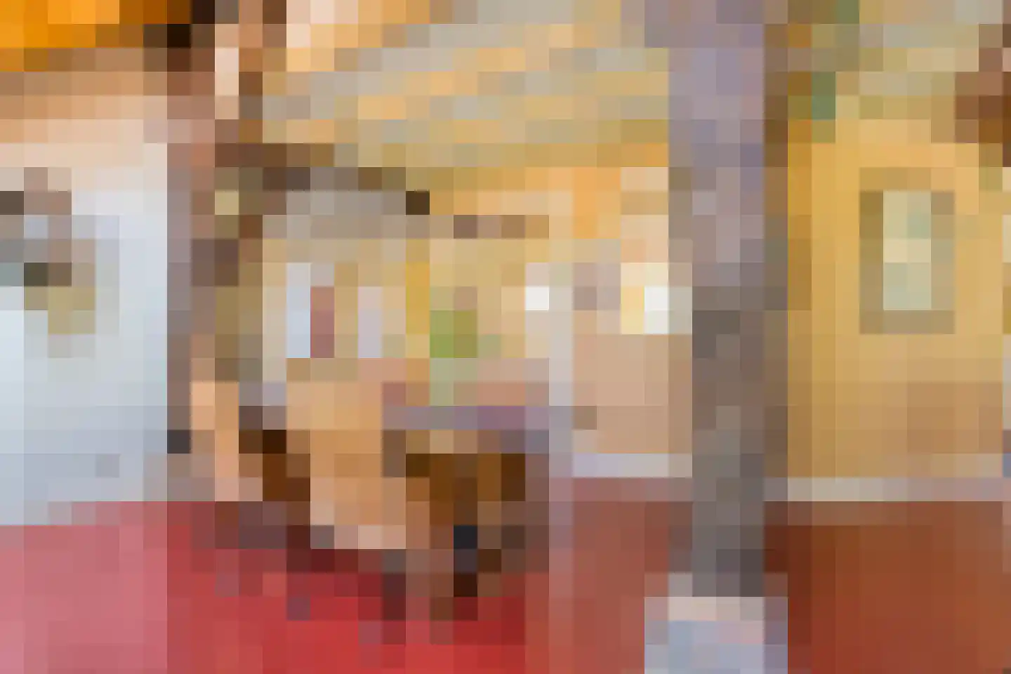 Westeinde 51 Dwingeloo thumbnail 20