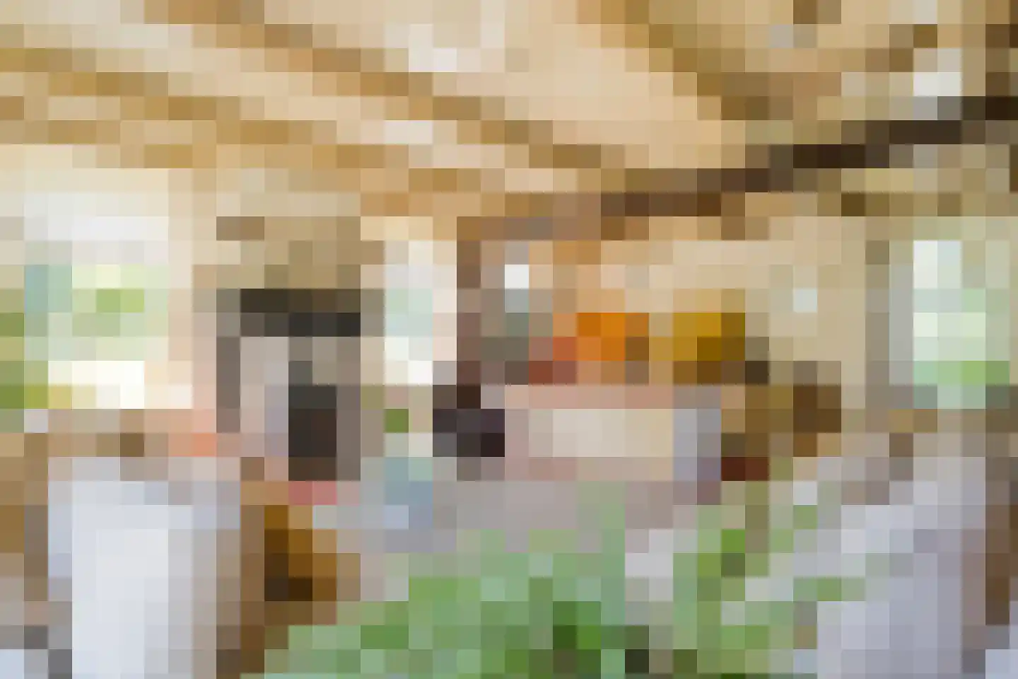 Westeinde 51 Dwingeloo thumbnail 26