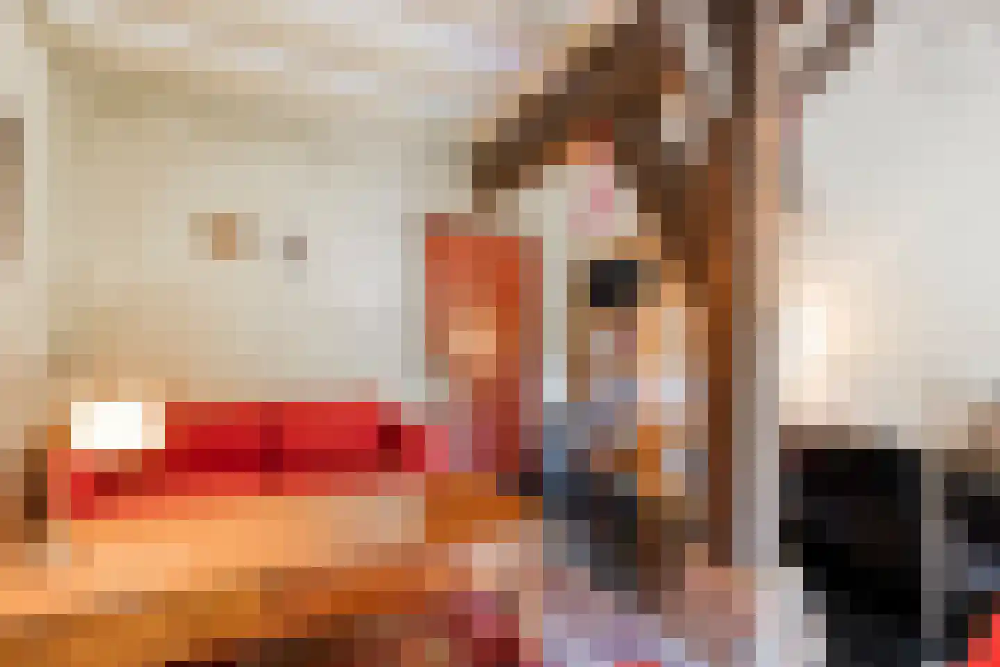 Westeinde 51 Dwingeloo thumbnail 32