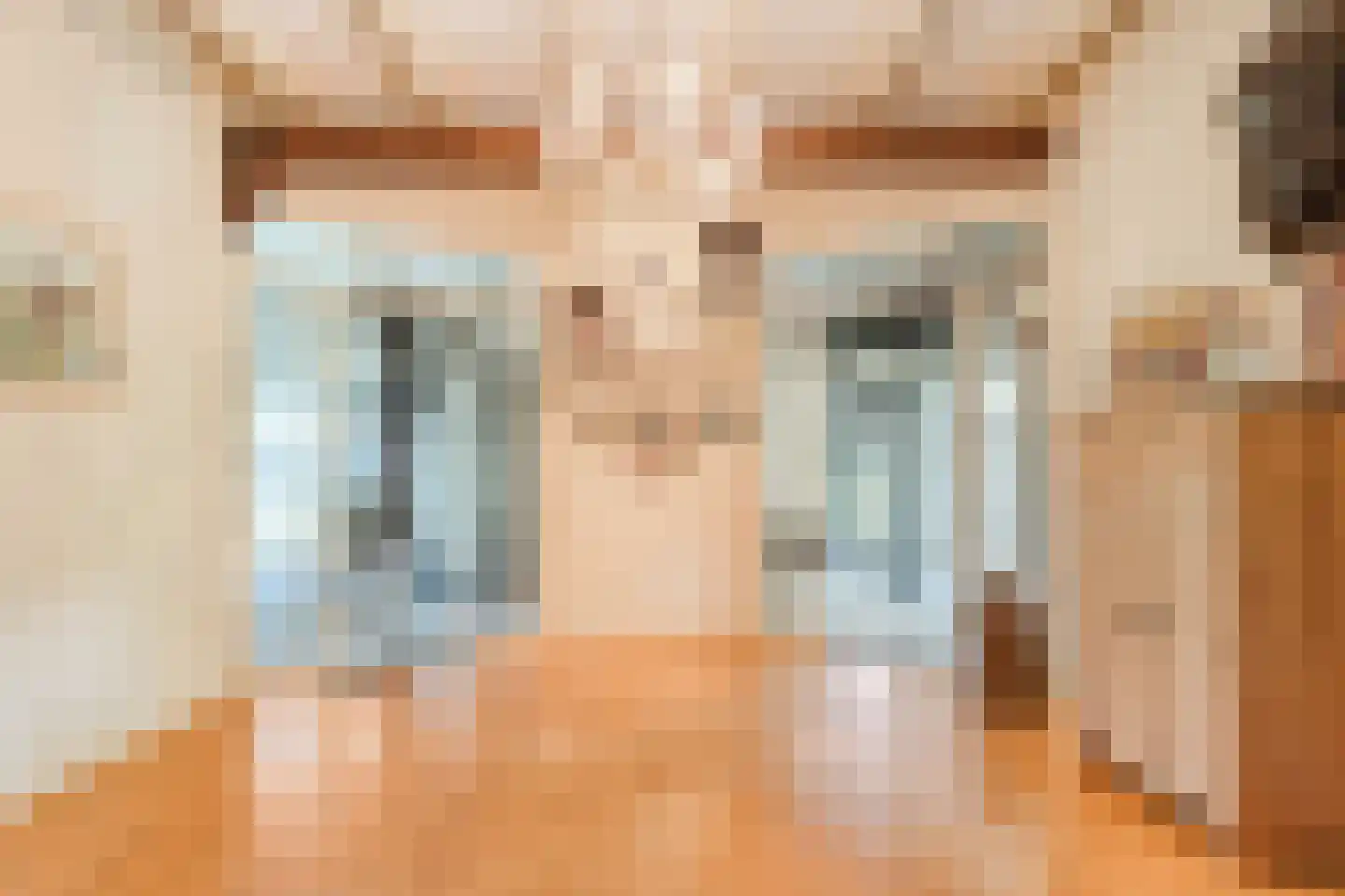 Westeinde 51 Dwingeloo thumbnail 34