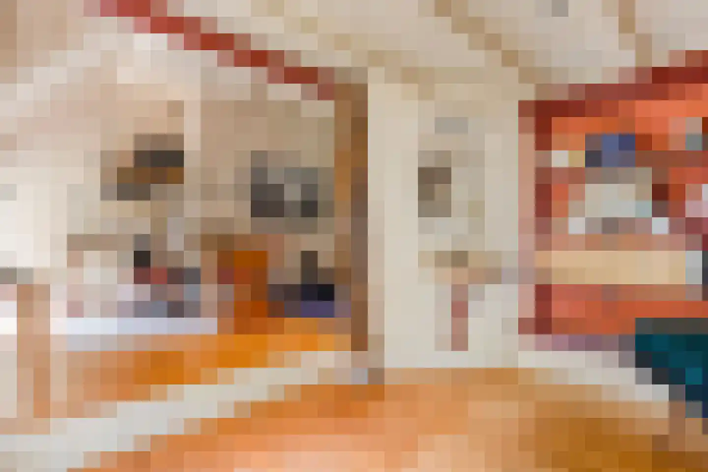 Westeinde 51 Dwingeloo thumbnail 36
