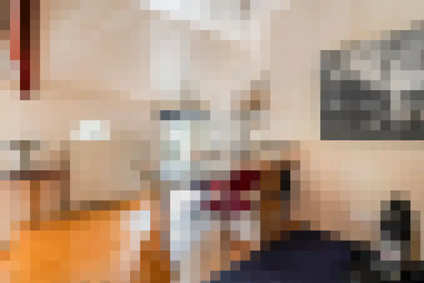 Westeinde 51 Dwingeloo thumbnail 37