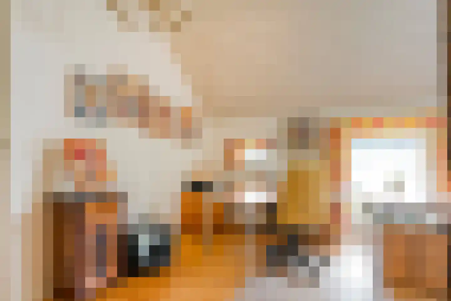 Westeinde 51 Dwingeloo thumbnail 38