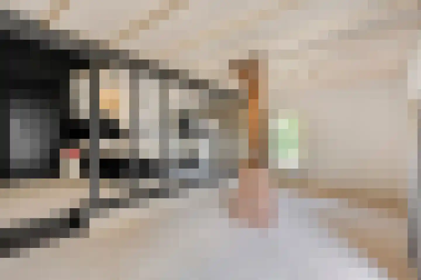 Westeinde 51 Dwingeloo thumbnail 41