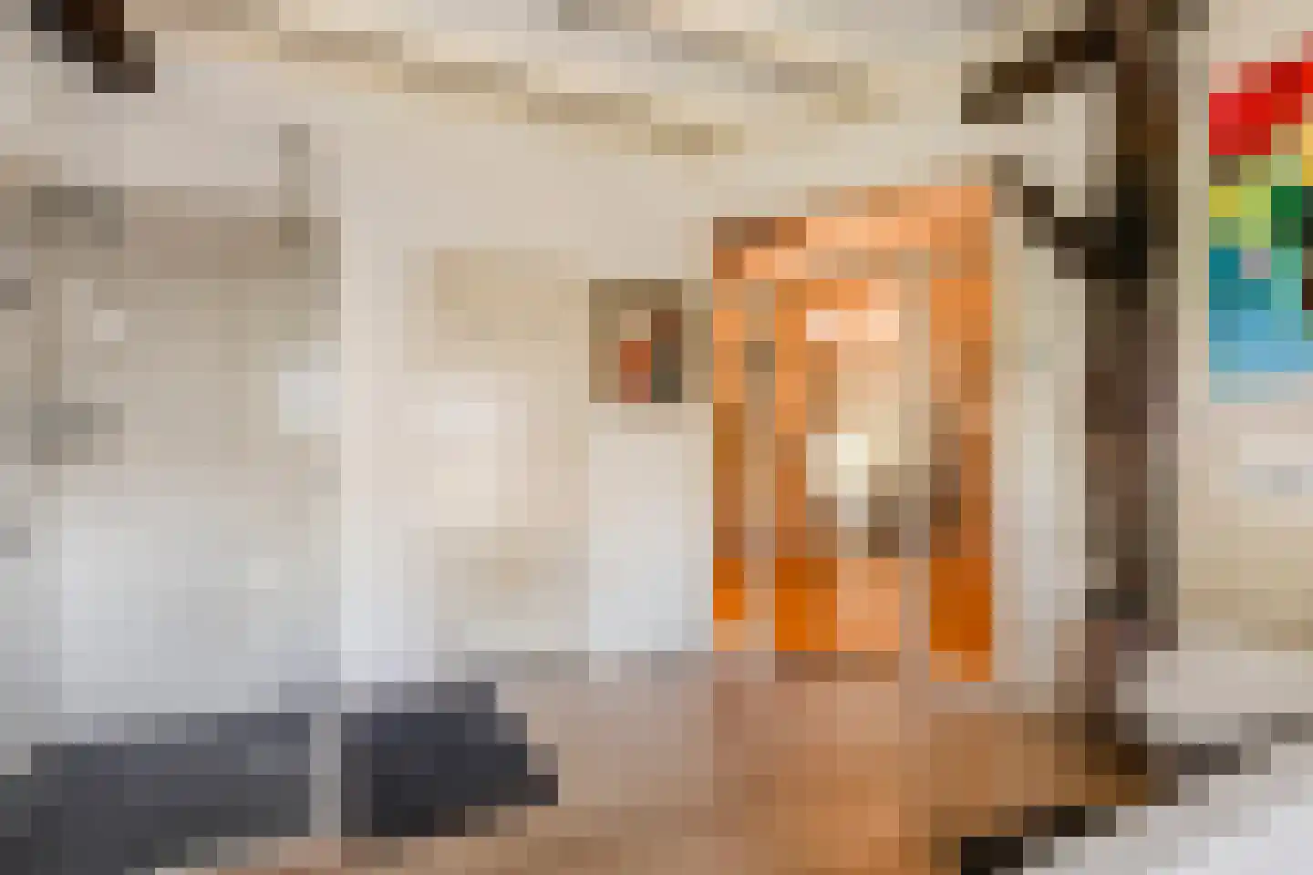 Westeinde 51 Dwingeloo thumbnail 45