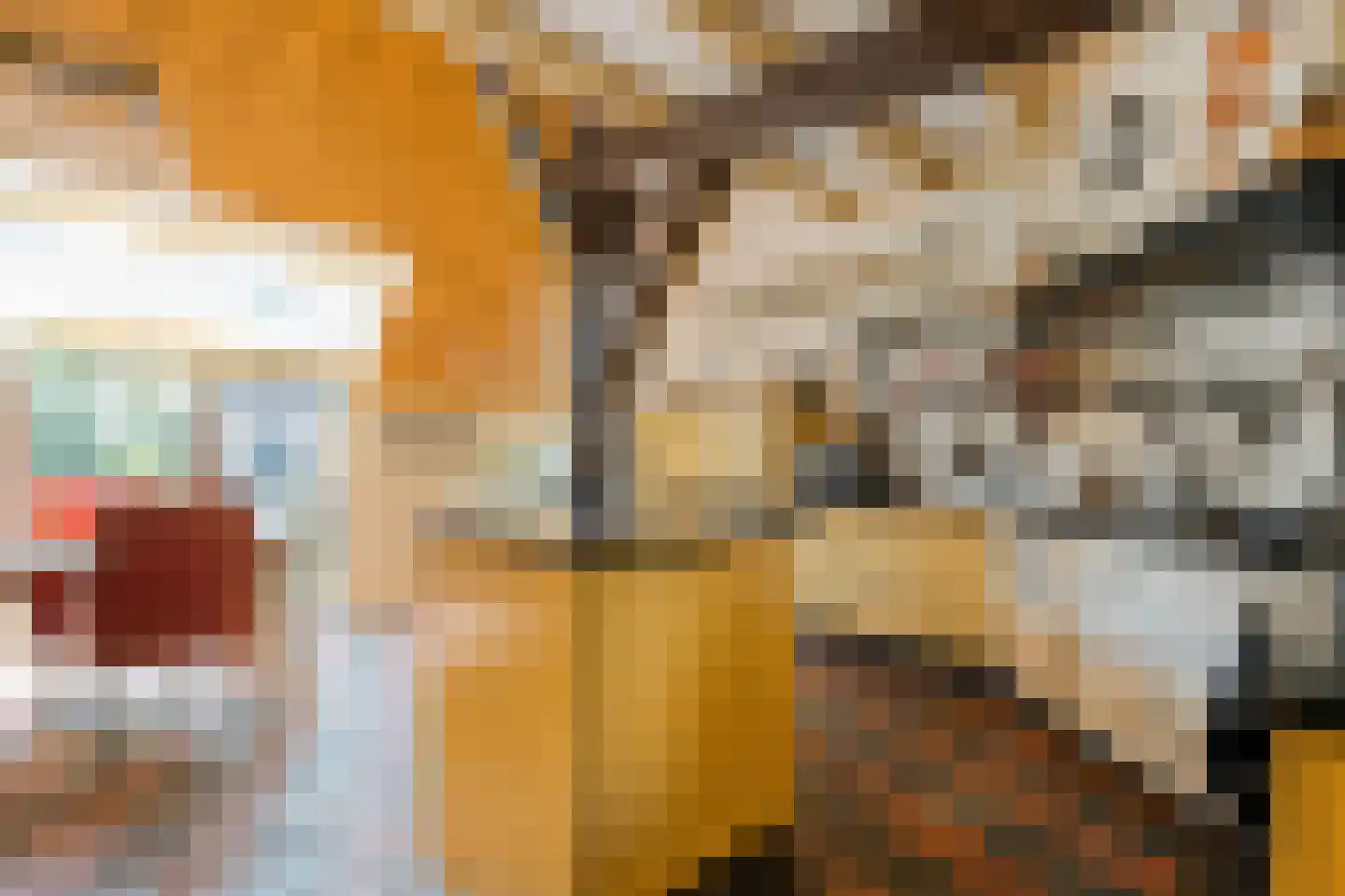 Westeinde 51 Dwingeloo thumbnail 5