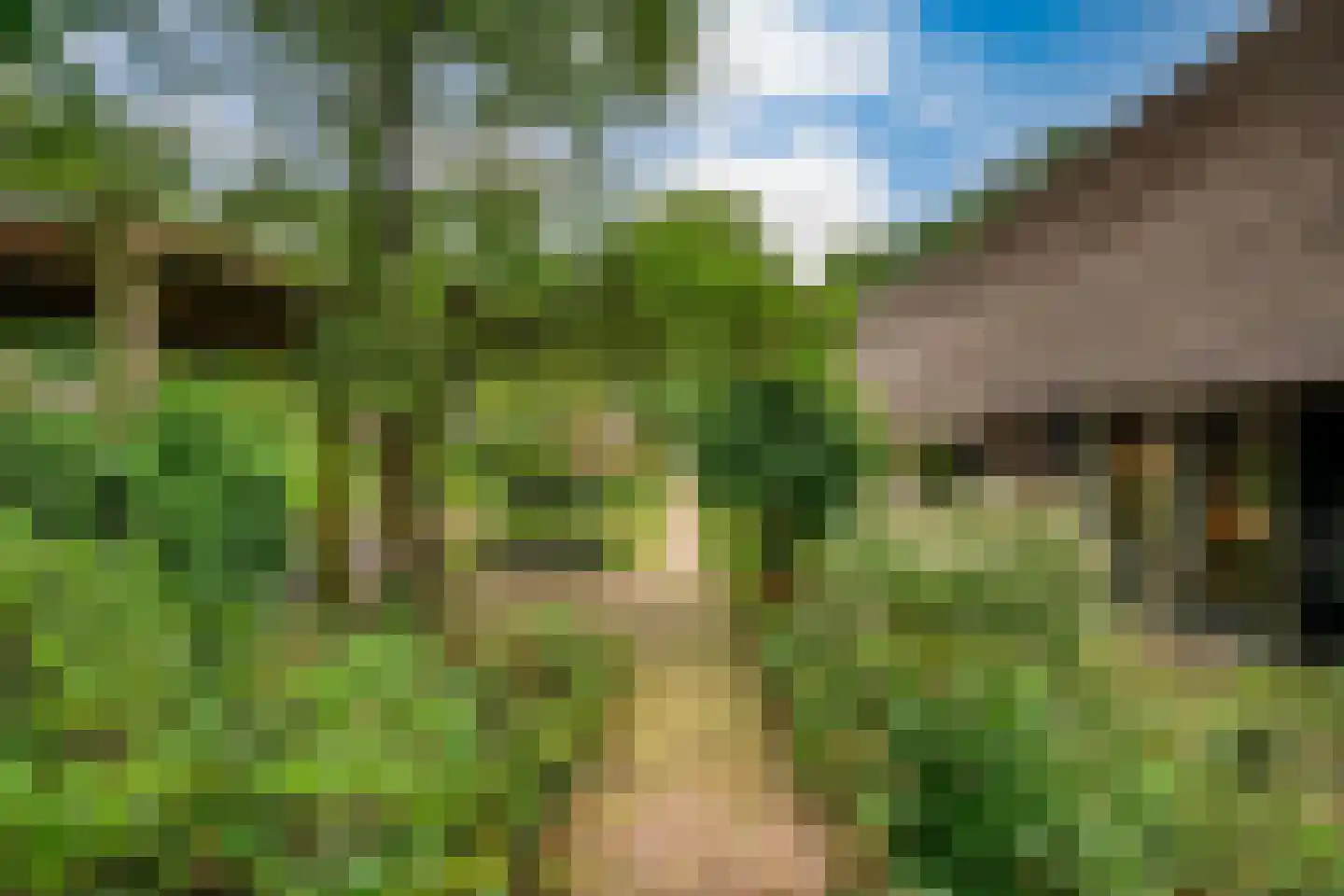 Westeinde 51 Dwingeloo thumbnail 58
